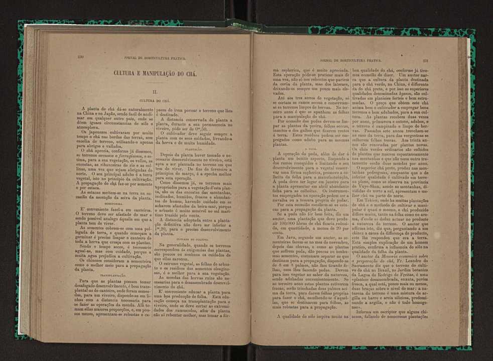 Jornal de horticultura prtica XXIII 122