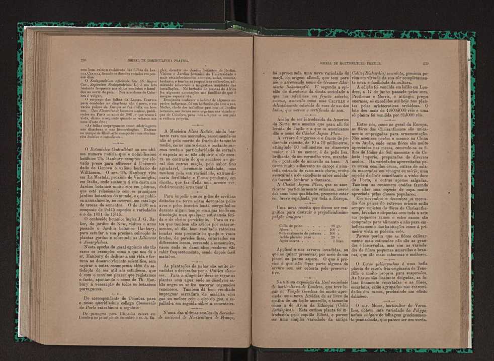 Jornal de horticultura prtica XXIII 126