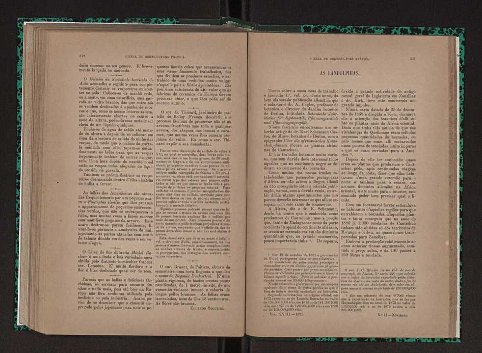 Jornal de horticultura prtica XXIII 127