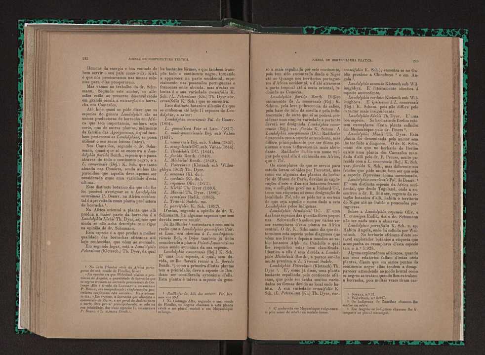 Jornal de horticultura prtica XXIII 128