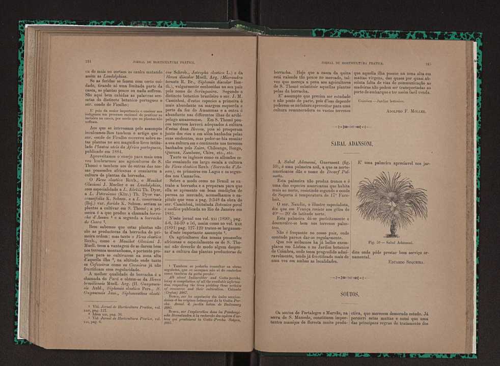 Jornal de horticultura prtica XXIII 129
