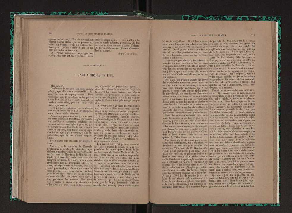 Jornal de horticultura prtica XXIII 131