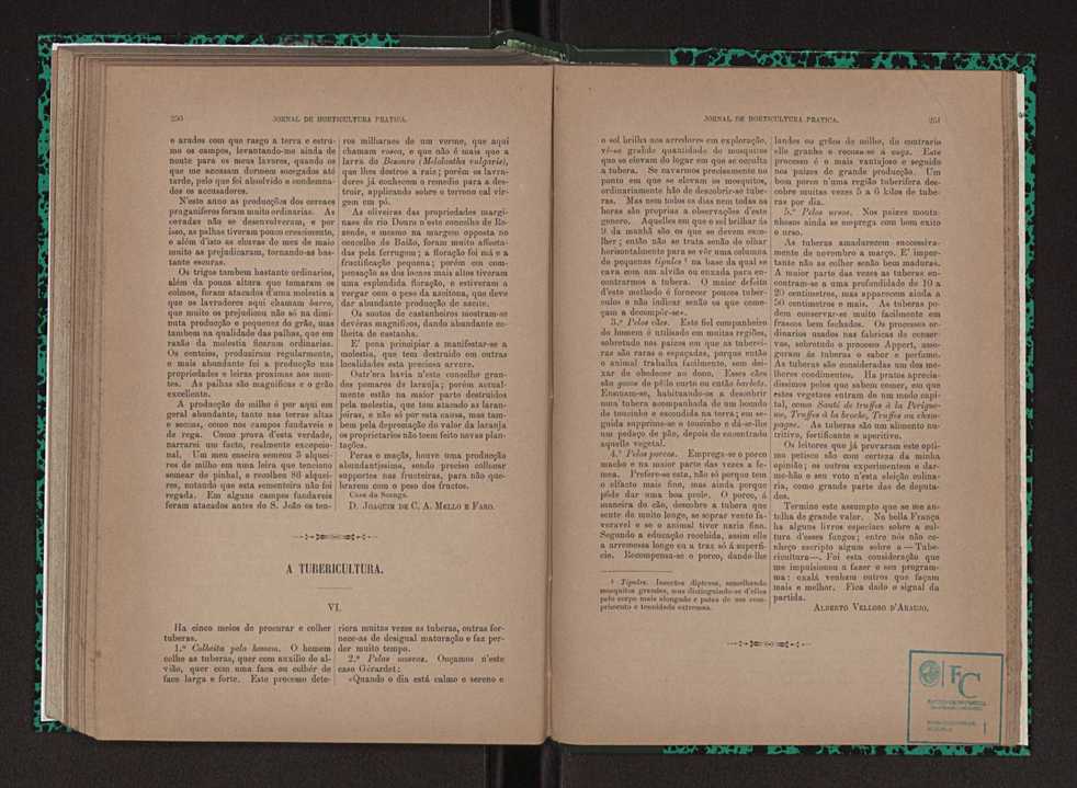 Jornal de horticultura pr�tica XXIII 132