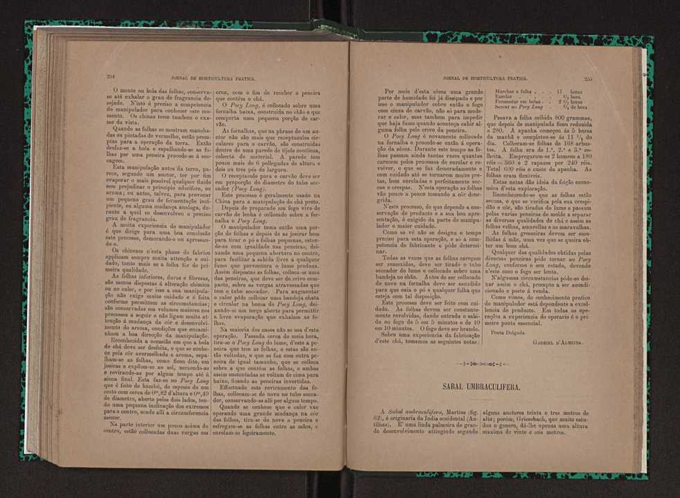 Jornal de horticultura prtica XXIII 134