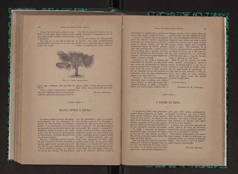 Jornal de horticultura prtica XXIII 135