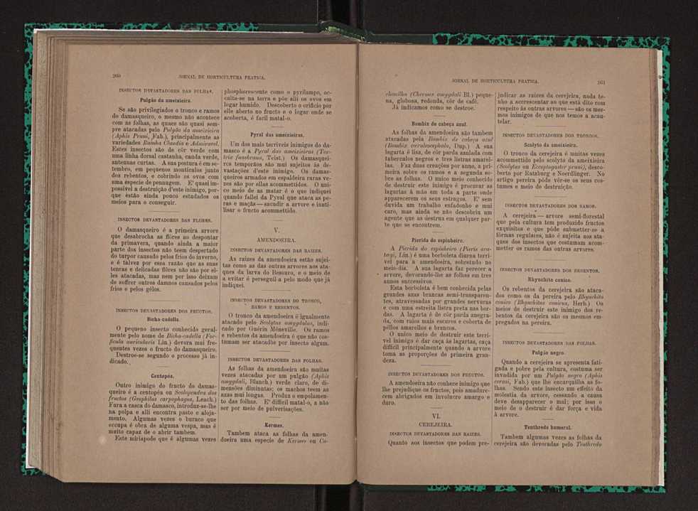 Jornal de horticultura prtica XXIII 137