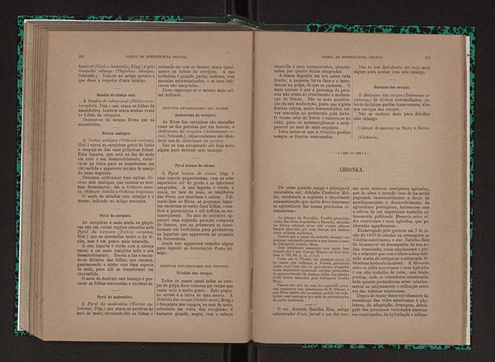 Jornal de horticultura prtica XXIII 138