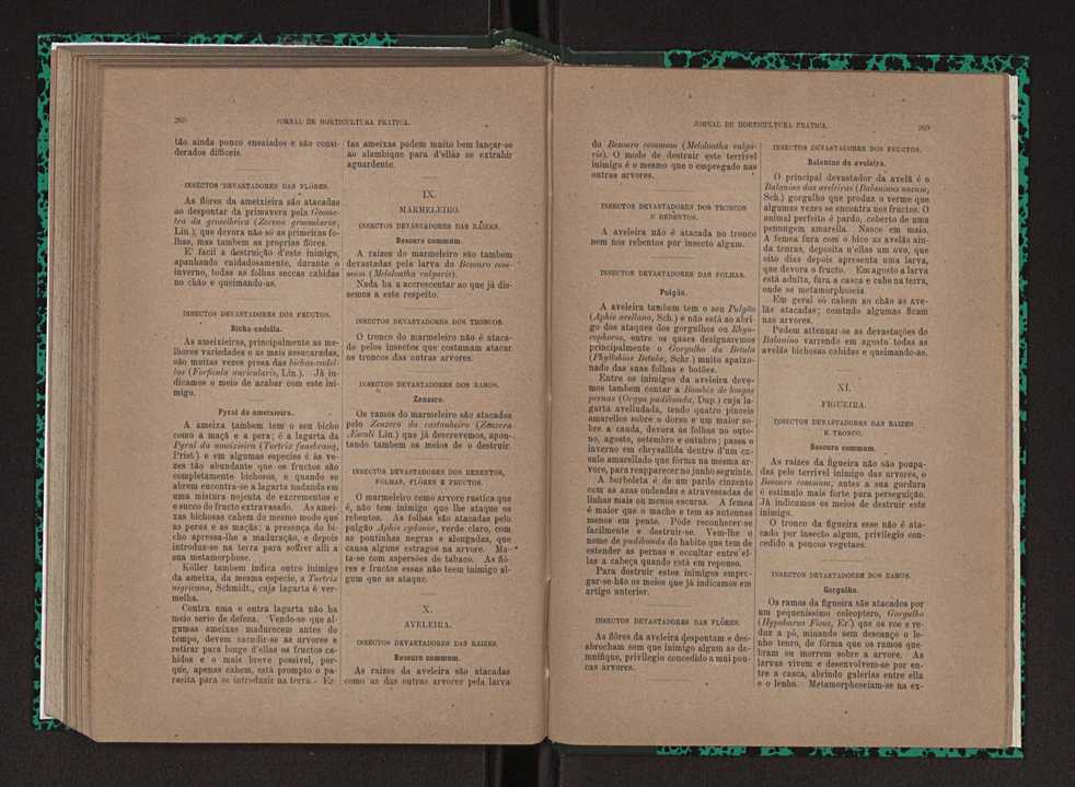 Jornal de horticultura prtica XXIII 141