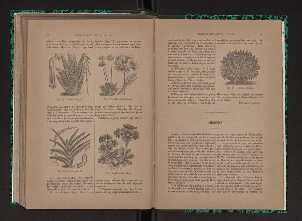 Jornal de horticultura prtica XXIII 148