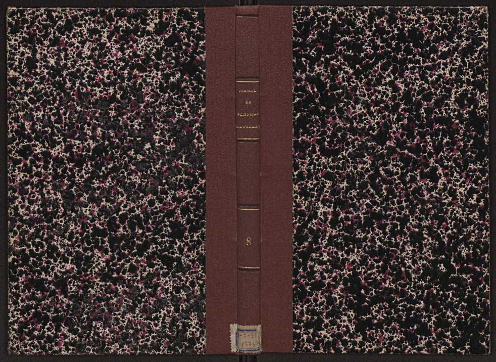 Jornal de sciencias mathematicas e astronomicas. Vol. 8 1