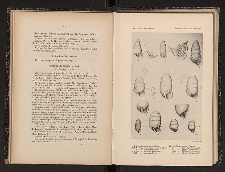 Annaes scientificos da Academia Polytecnica do Porto. Vol. 3 36