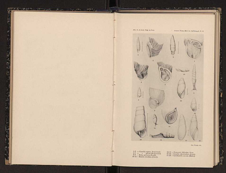 Annaes scientificos da Academia Polytecnica do Porto. Vol. 3 37