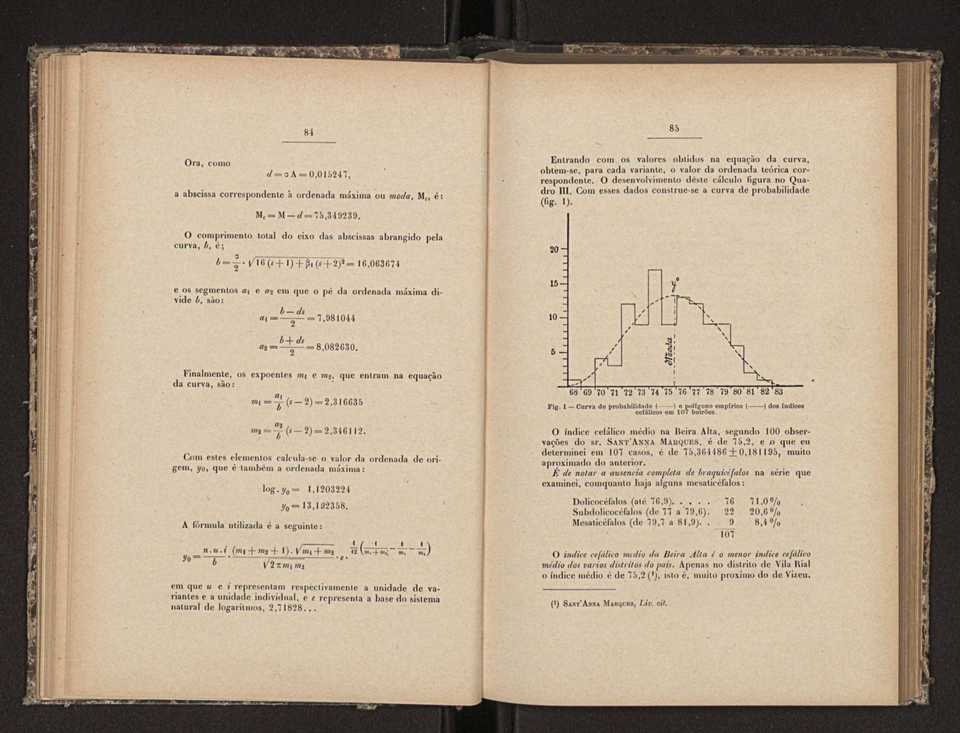 Annaes scientificos da Academia Polytecnica do Porto. Vol. 10 45