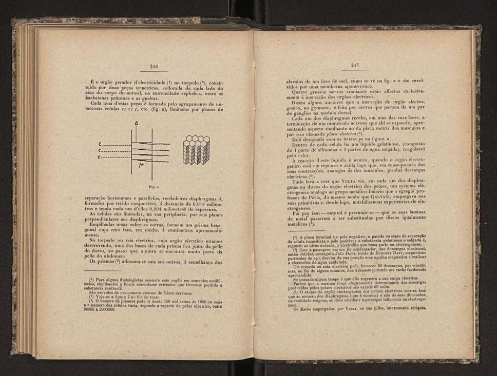 Annaes scientificos da Academia Polytecnica do Porto. Vol. 10 127