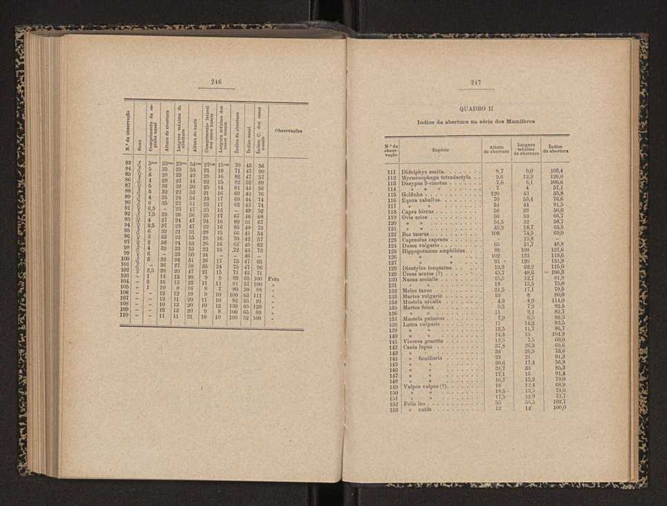 Annaes scientificos da Academia Polytecnica do Porto. Vol. 11 124