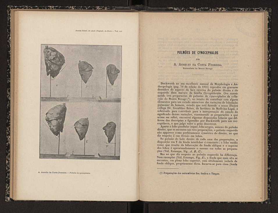 Annaes scientificos da Academia Polytecnica do Porto. Vol. 14 67