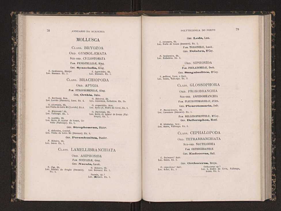 Annuario da Academia Polytechnica do Porto. A. 14 (1890-1891) / Ex. 2 43