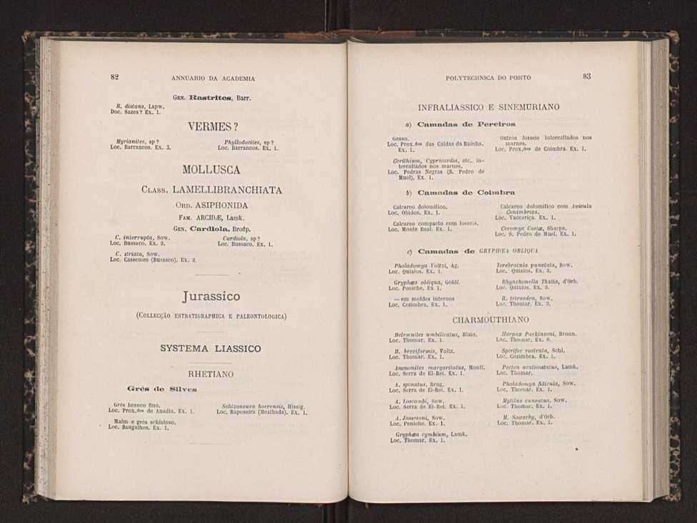 Annuario da Academia Polytechnica do Porto. A. 14 (1890-1891) / Ex. 2 45