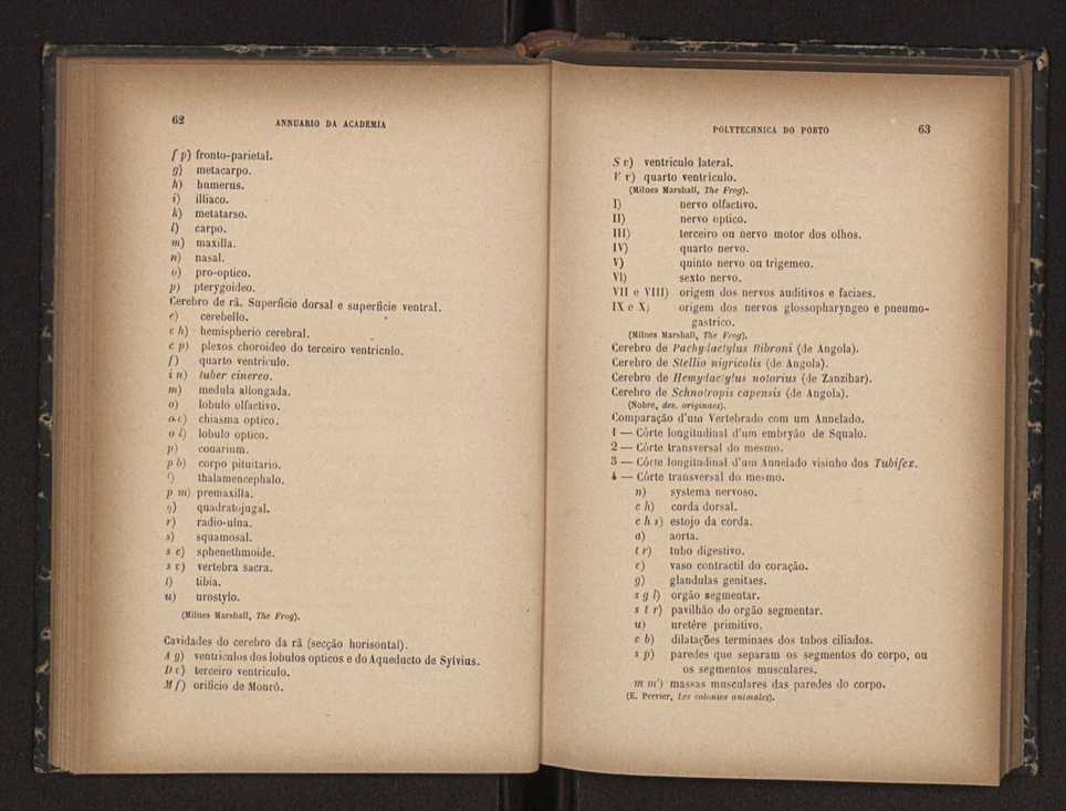 Annuario da Academia Polytechnica do Porto. A. 16 (1892-1893) / Ex. 2 33