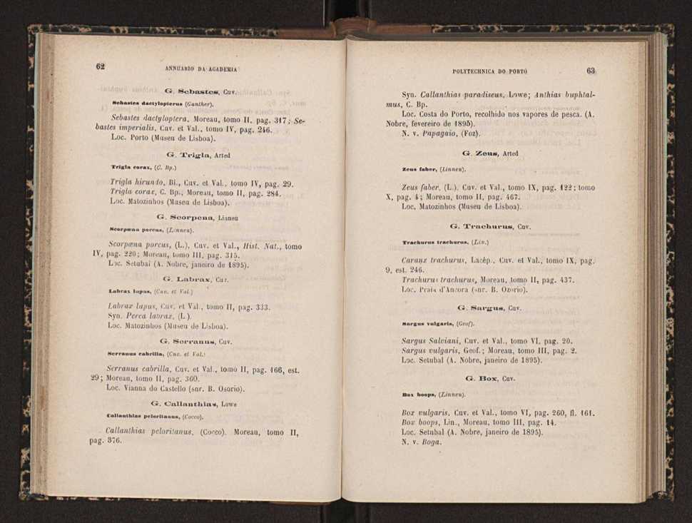 Annuario da Academia Polytechnica do Porto. A. 18 (1894-1895) / Ex. 2 33