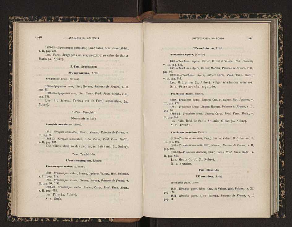 Annuario da Academia Polytechnica do Porto. A. 19 (1895-1896) / Ex. 2 25