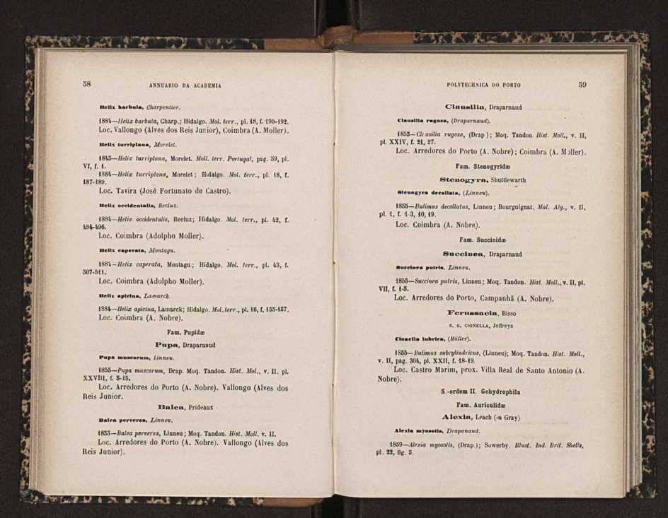 Annuario da Academia Polytechnica do Porto. A. 19 (1895-1896) / Ex. 2 31