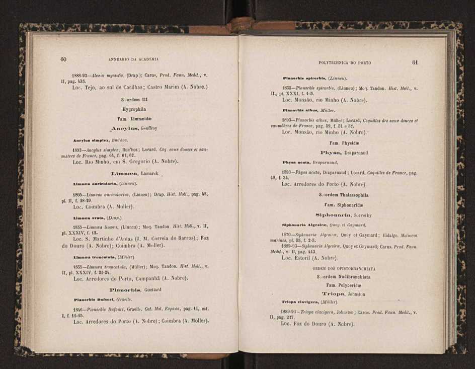 Annuario da Academia Polytechnica do Porto. A. 19 (1895-1896) / Ex. 2 32