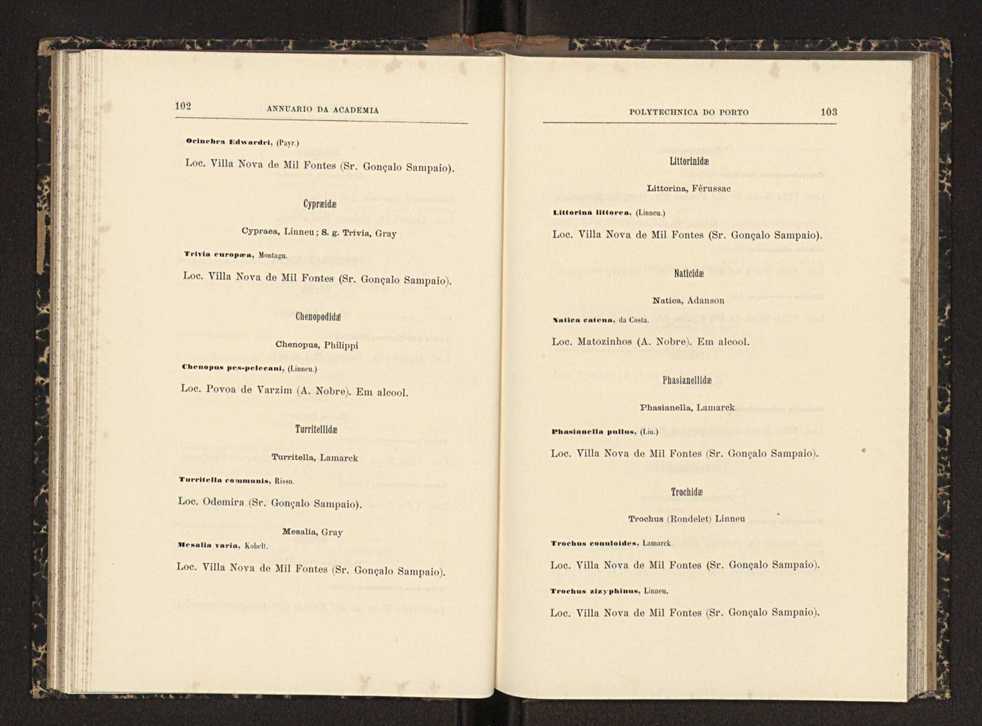 Annuario da Academia Polytechnica do Porto. A. 23 (1899-1900) / Ex. 2 55