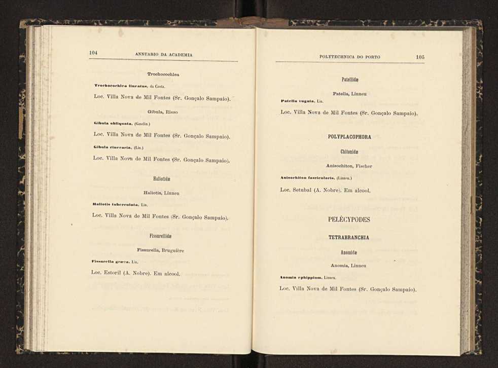 Annuario da Academia Polytechnica do Porto. A. 23 (1899-1900) / Ex. 2 56