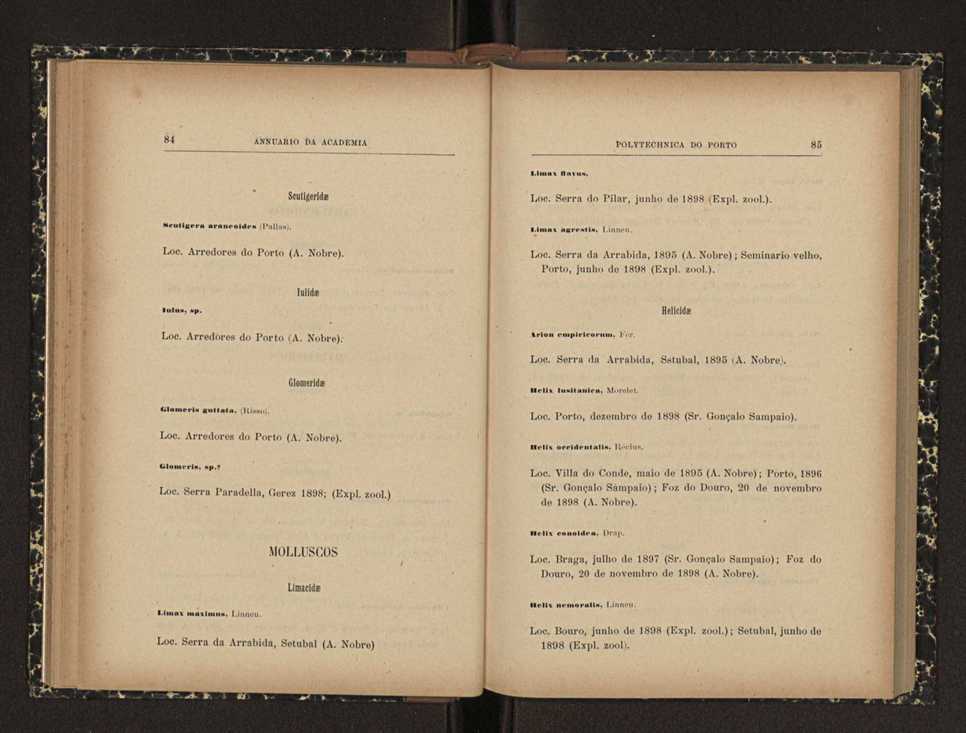 Annuario da Academia Polytechnica do Porto. A. 24 (1900-1901) / Ex. 2 45