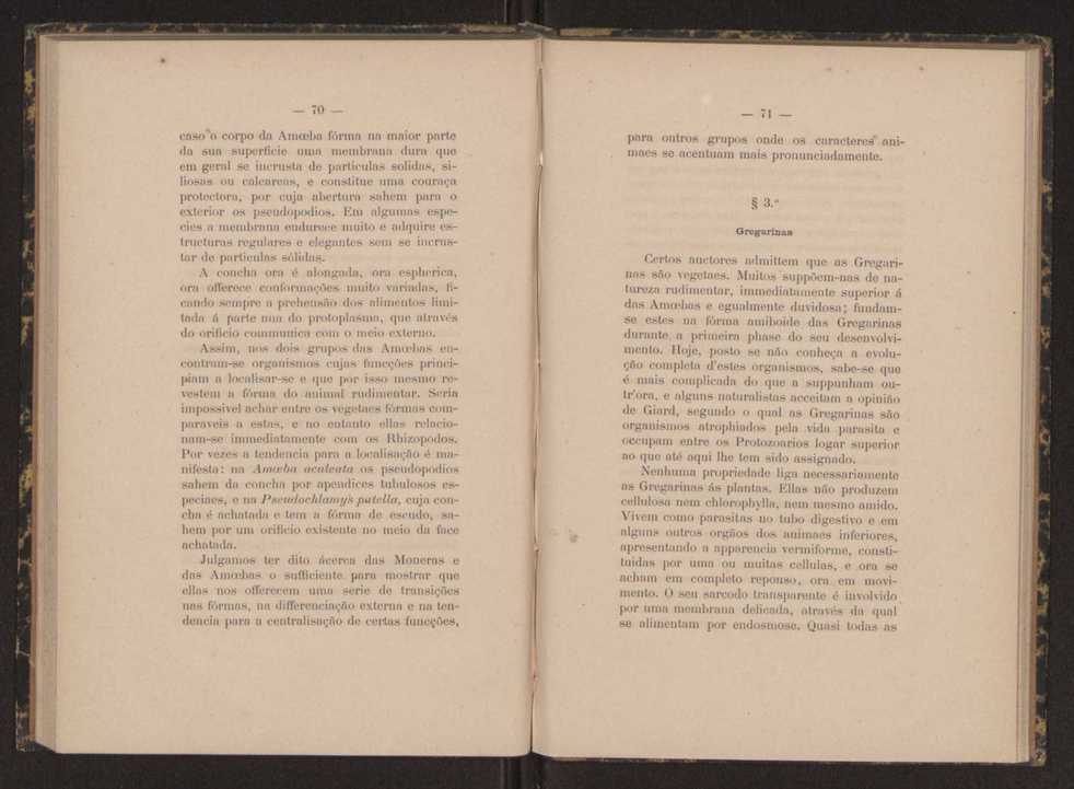 Oreino dos protistas:apreciao da legitimidade d'esta hypothese na classificao dos seres organicos 37