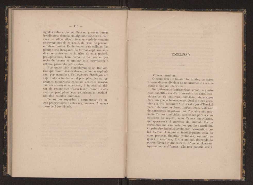 Oreino dos protistas:apreciao da legitimidade d'esta hypothese na classificao dos seres organicos 57