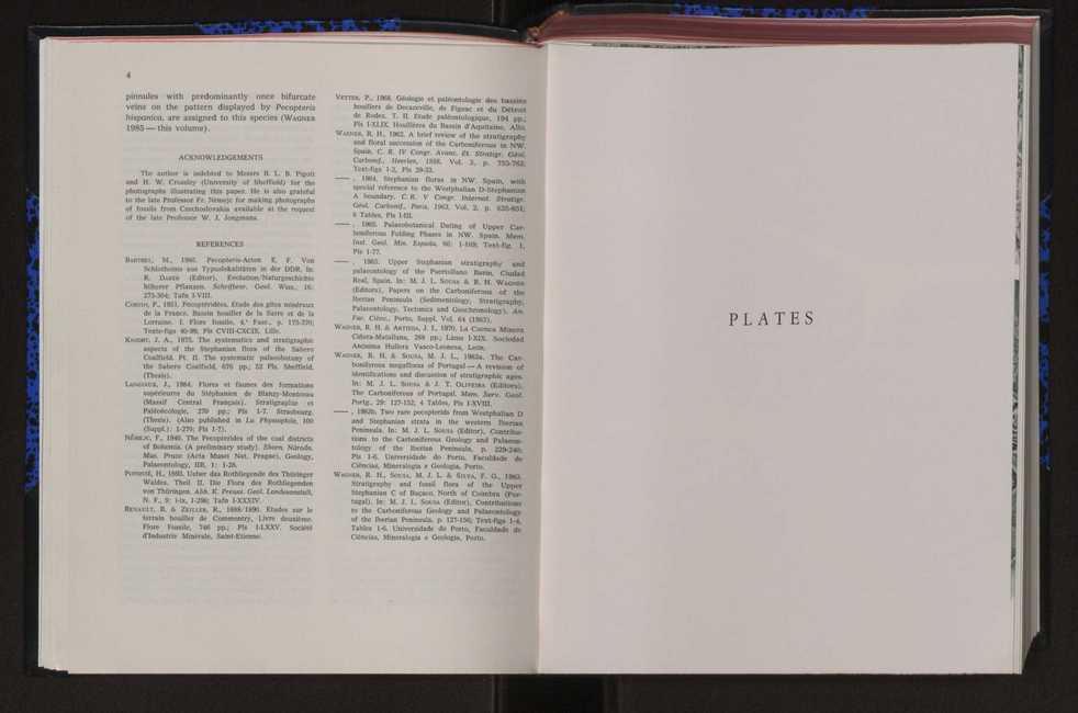 Anais da Faculdade de Cincias : supplement to volume 64 (1983) : special volume in honour of Wenceslau de Lima, palaeobotanist and statesman (1858-1919) 16