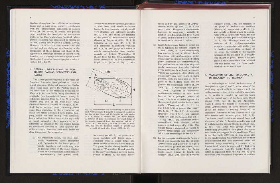 Anais da Faculdade de Cincias : supplement to volume 64 (1983) : special volume in honour of Wenceslau de Lima, palaeobotanist and statesman (1858-1919) 21
