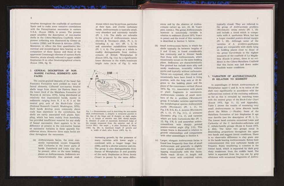 Anais da Faculdade de Cincias : supplement to volume 64 (1983) : special volume in honour of Wenceslau de Lima, palaeobotanist and statesman (1858-1919) 21