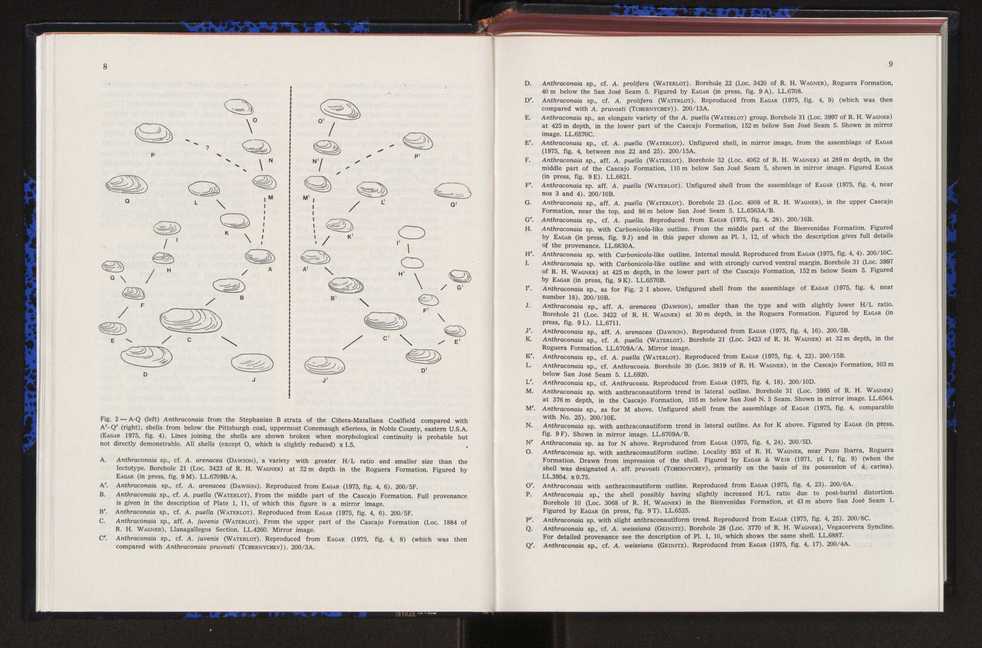 Anais da Faculdade de Cincias : supplement to volume 64 (1983) : special volume in honour of Wenceslau de Lima, palaeobotanist and statesman (1858-1919) 22