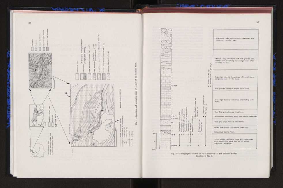 Anais da Faculdade de Cincias : supplement to volume 64 (1983) : special volume in honour of Wenceslau de Lima, palaeobotanist and statesman (1858-1919) 39