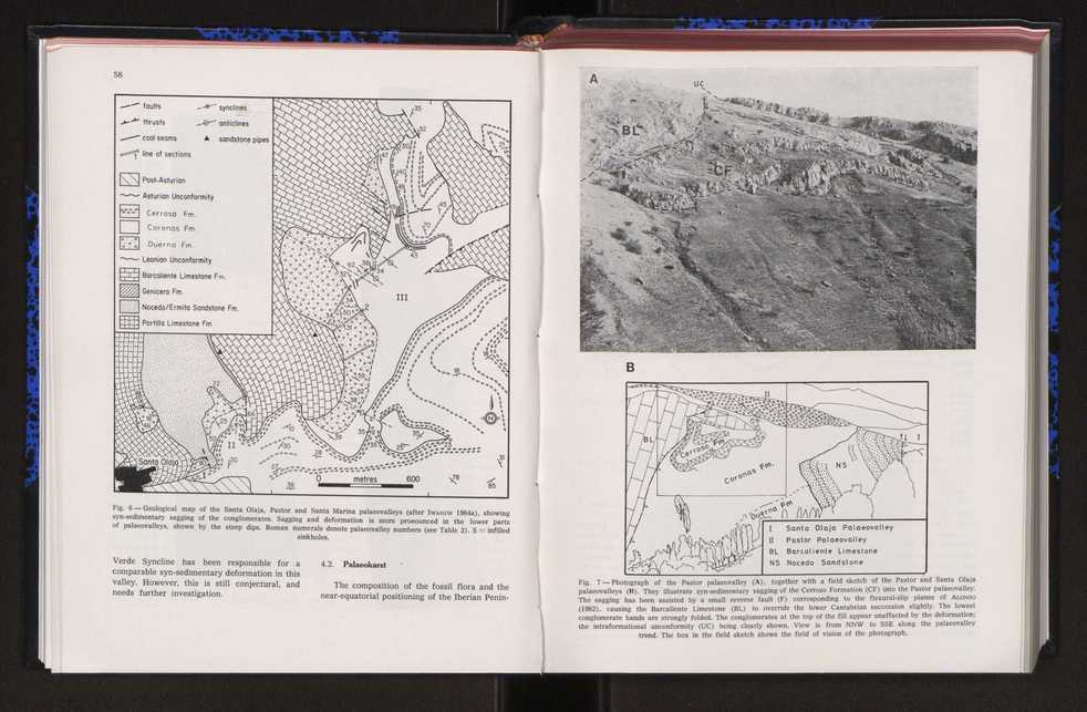 Anais da Faculdade de Cincias : supplement to volume 64 (1983) : special volume in honour of Wenceslau de Lima, palaeobotanist and statesman (1858-1919) 50