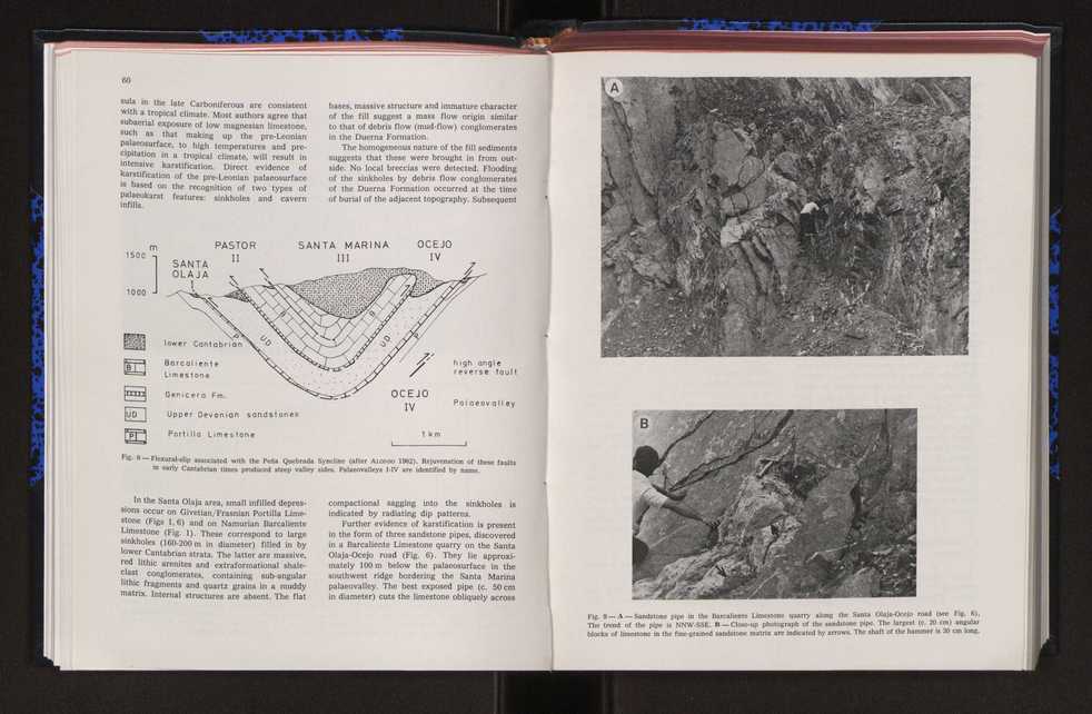 Anais da Faculdade de Cincias : supplement to volume 64 (1983) : special volume in honour of Wenceslau de Lima, palaeobotanist and statesman (1858-1919) 51
