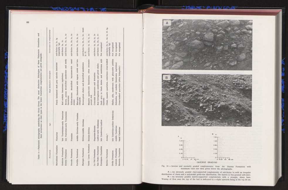 Anais da Faculdade de Cincias : supplement to volume 64 (1983) : special volume in honour of Wenceslau de Lima, palaeobotanist and statesman (1858-1919) 54