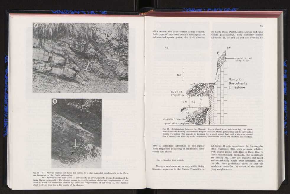 Anais da Faculdade de Cincias : supplement to volume 64 (1983) : special volume in honour of Wenceslau de Lima, palaeobotanist and statesman (1858-1919) 58