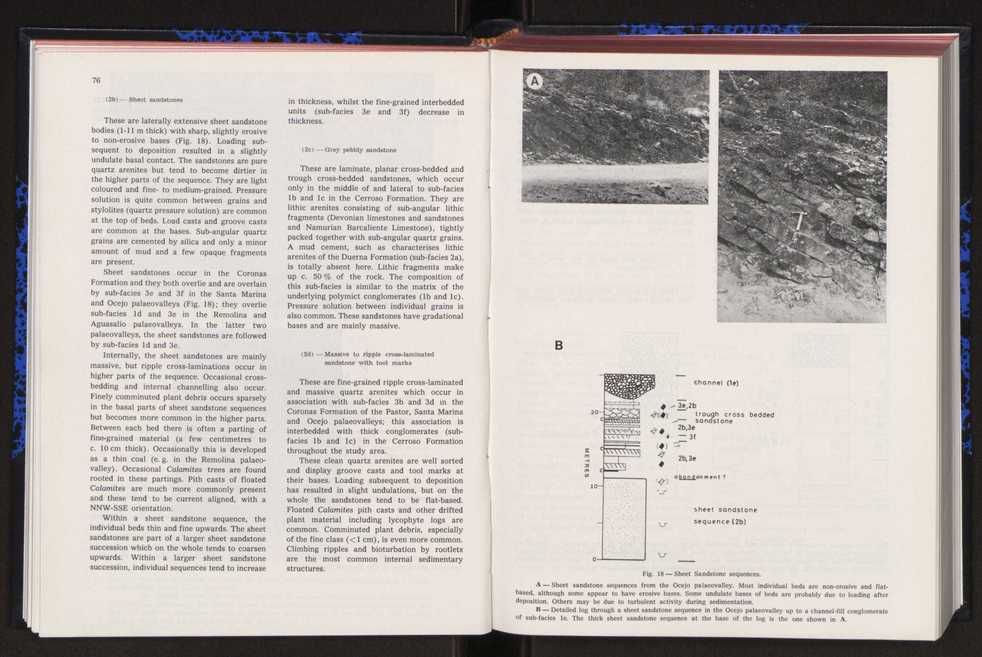 Anais da Faculdade de Cincias : supplement to volume 64 (1983) : special volume in honour of Wenceslau de Lima, palaeobotanist and statesman (1858-1919) 59