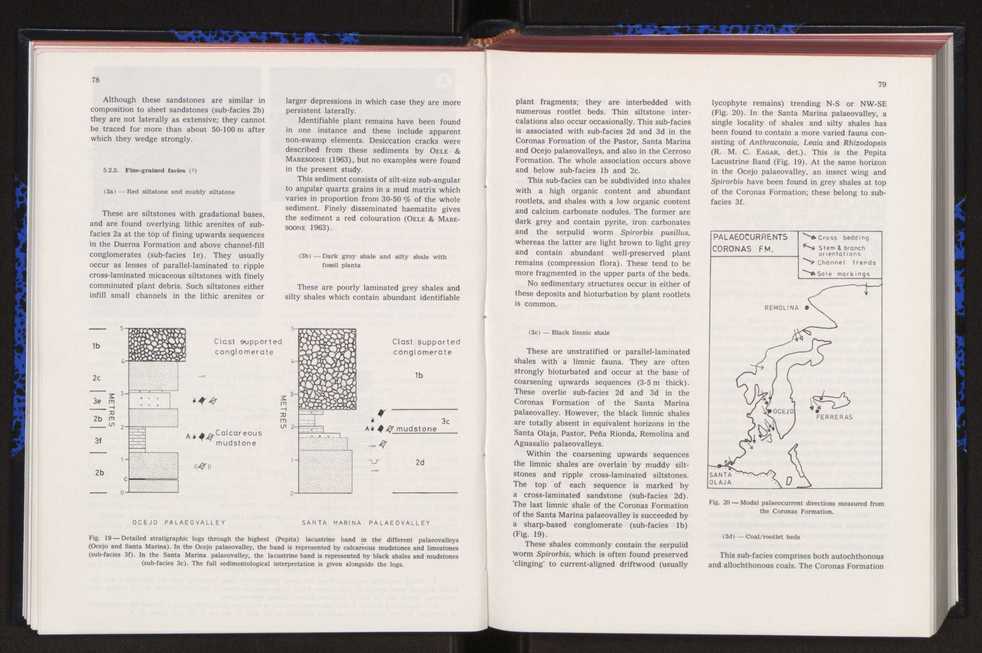 Anais da Faculdade de Cincias : supplement to volume 64 (1983) : special volume in honour of Wenceslau de Lima, palaeobotanist and statesman (1858-1919) 60