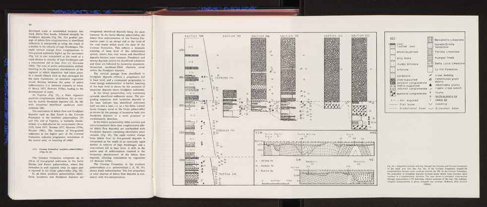 Anais da Faculdade de Cincias : supplement to volume 64 (1983) : special volume in honour of Wenceslau de Lima, palaeobotanist and statesman (1858-1919) 66