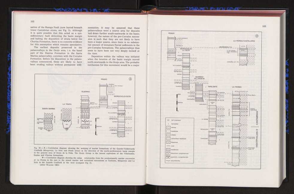 Anais da Faculdade de Cincias : supplement to volume 64 (1983) : special volume in honour of Wenceslau de Lima, palaeobotanist and statesman (1858-1919) 73