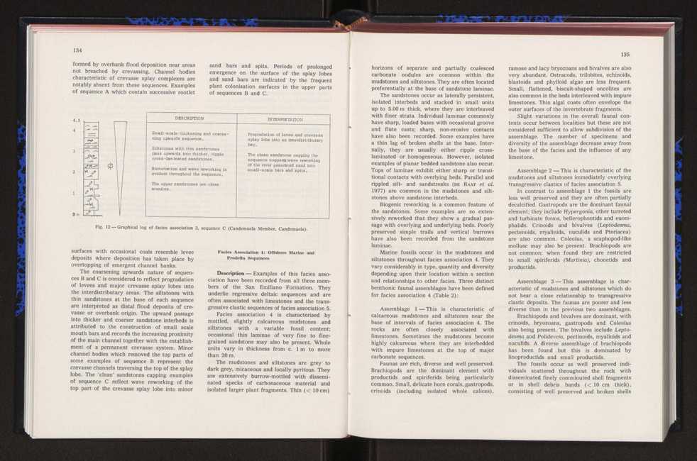 Anais da Faculdade de Cincias : supplement to volume 64 (1983) : special volume in honour of Wenceslau de Lima, palaeobotanist and statesman (1858-1919) 89