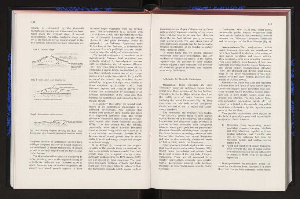 Anais da Faculdade de Cincias : supplement to volume 64 (1983) : special volume in honour of Wenceslau de Lima, palaeobotanist and statesman (1858-1919) 94