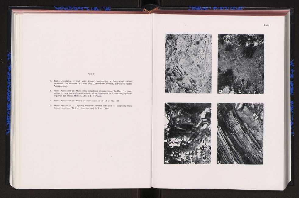 Anais da Faculdade de Cincias : supplement to volume 64 (1983) : special volume in honour of Wenceslau de Lima, palaeobotanist and statesman (1858-1919) 108