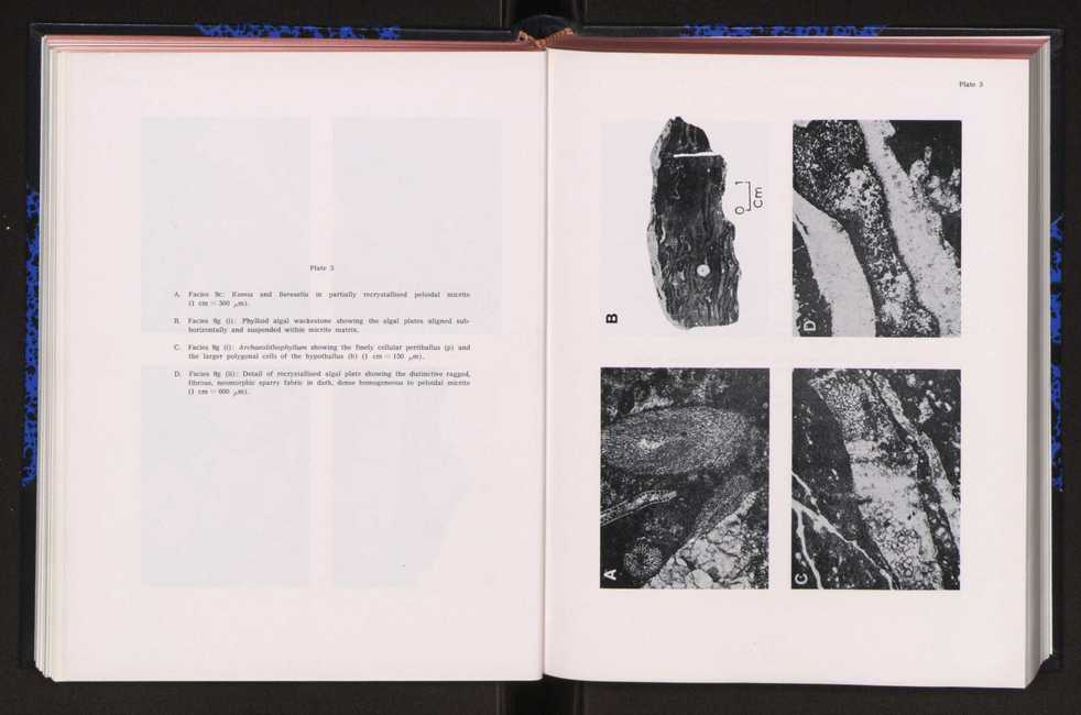Anais da Faculdade de Cincias : supplement to volume 64 (1983) : special volume in honour of Wenceslau de Lima, palaeobotanist and statesman (1858-1919) 110
