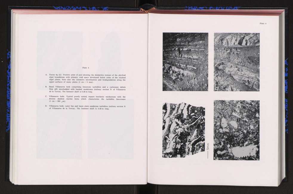 Anais da Faculdade de Cincias : supplement to volume 64 (1983) : special volume in honour of Wenceslau de Lima, palaeobotanist and statesman (1858-1919) 111
